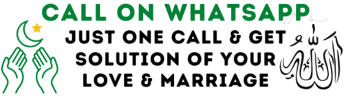 World Famous Astrologer Maulana Zubair Ali